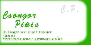 csongor pipis business card